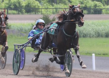 Caviart Camden pleases owners with Gaitway showing