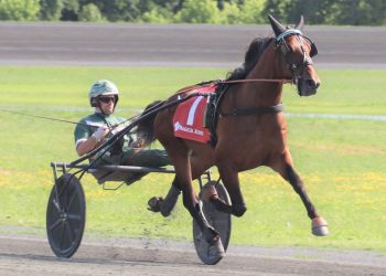 Trotter brings $178,000 on PEO