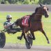 Engblom trainees look to rebound in Goodtimes 2 Trotter brings $178,000 on PEO