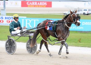 Kiwis ready to take charge in Queensland