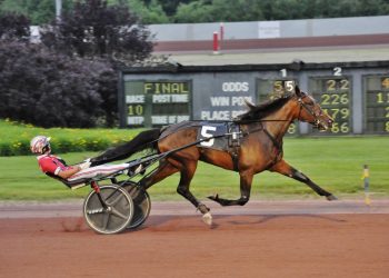 PA All-Stars to Bella Bellini & Dazzling Reign