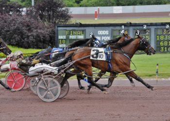 Blank Stare leers at peers in feature