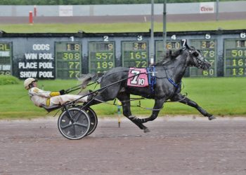 Make it four straight for Gray Dragon