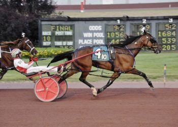 Shecandance N gets off the schneid