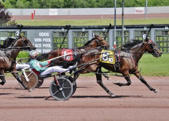 Aussie import proves too tough at The Downs