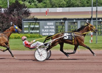 Lifetime mark for Thisishe again