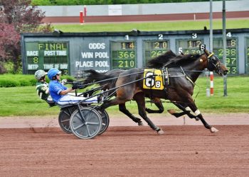 Top PA-breds to battle Wednesday