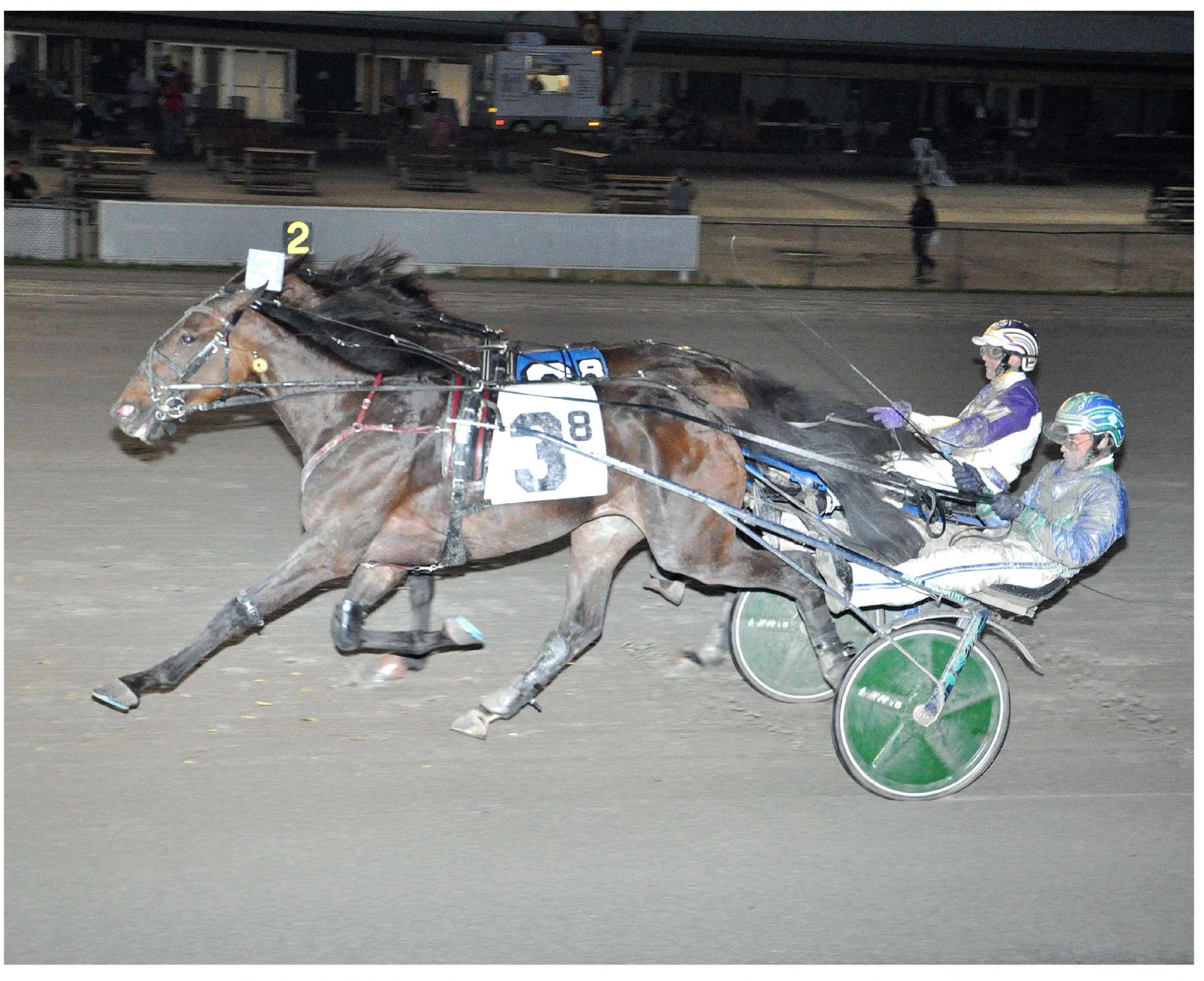 Ahundreddollarbill Golden In Empire Breeders Classic - Harnesslink