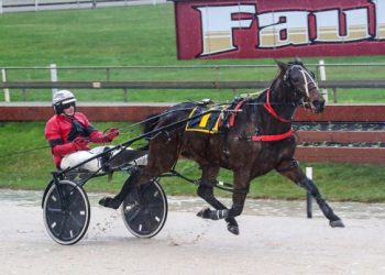 Winning double for Negus