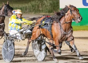 Miles has ‘big guns’ on show