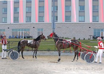 Hottieonthehorizon, Anna B inseperable at Aces