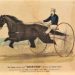 John Berry's Mane Attraction: Hambletonian remembrances 2 Dexter the horse