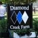 "Champions and Champagne" show at Diamond Creek 2 Diamond Creek Farm on ABC News