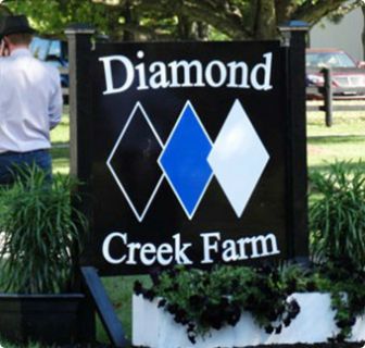 Diamond Creek Farm on ABC News