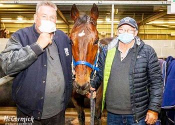 Here’s cheers to comeback Don!