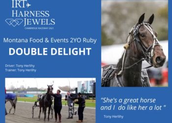 Captaintreacherous trotting filly impressive winning 2yo Ruby