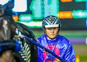 Reinsman Dylan Egerton-Green will step in to drive Newsy in the Group 2 3YO Fillies Diamond Classic Final at Gloucester Park on Friday night.