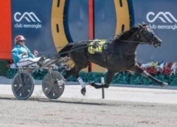 Funky Monkey is unbeaten in her two Australian starts. Can she make it three in-a-row at Menangle today?