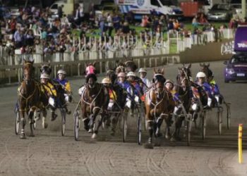 Gloucester Park review