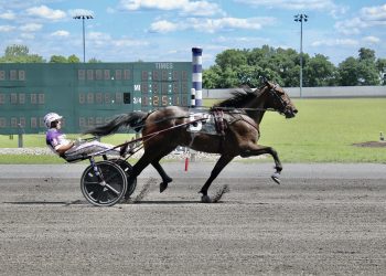 Take All Comers bags PaSS prelim
