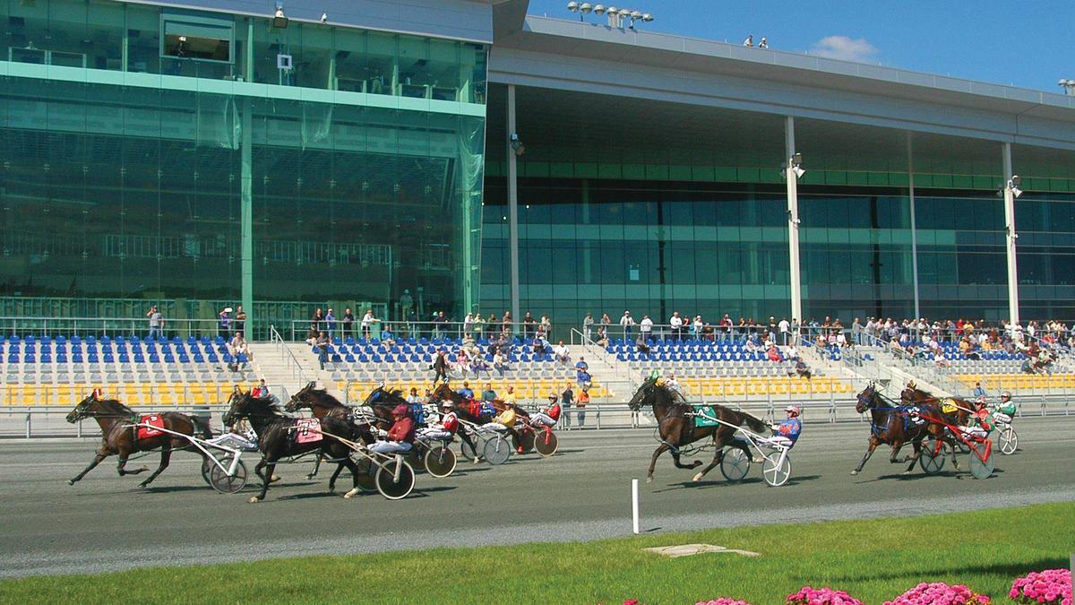 The best older trotters and pacers in North America will be racing for more than $500,000 in purse money on Sunday.