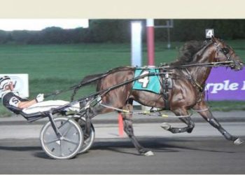 Highalator in prior win