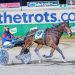 French mare emerges at Melton