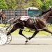 Hudson Phil regains Saratoga throne