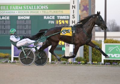 Joe Joe Joe and driver Jesse Yoder setting double gaited world record