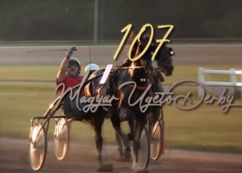 Zidane and Violetta score at Kincsem Park