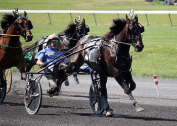 Breakfast With The Babies: Sting in 1:48.4