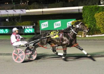 Krug wins the $21,700 Redcliffe Derby in race and track record time. Photo by Dan Costello