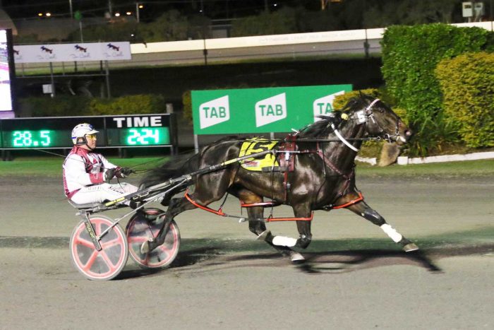 Krug wins the $21,700 Redcliffe Derby in race and track record time. Photo by Dan Costello