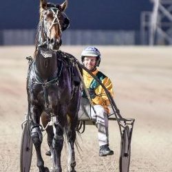 Luke McCarthy drove five winners at Menangle tonight including the NSW Trotters Derby with Kyvalley Hotspur.