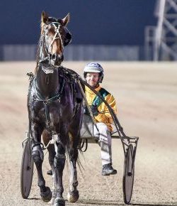 Luke McCarthy drove five winners at Menangle tonight including the NSW Trotters Derby with Kyvalley Hotspur.