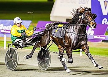 Lavra Joe faces a major test