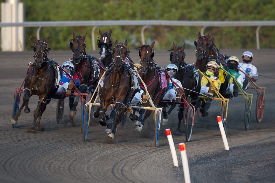 Woodbine releases 21 million stakes schedule Harnesslink