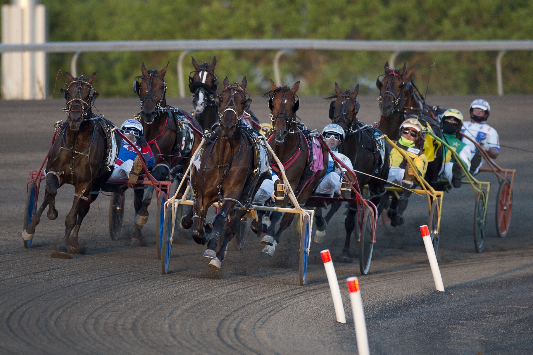 Ontario funds training for harness workers Harnesslink