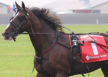 Toscano happy with babies at Magical Acres