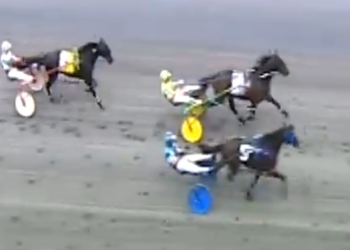 Mad Man Hill tops talented card