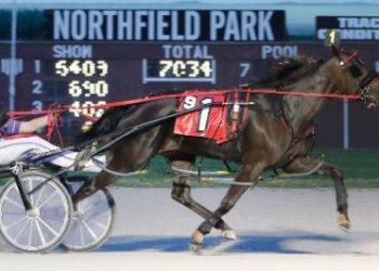 Mcmarkle Sparkle shines in feature