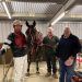 Geoff swaps boots for bridles