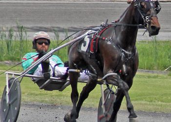 Rosy afternoon for Moonlightandroses