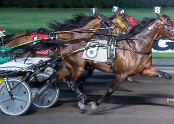 1:51 son of Muscle Hill for Goulburn Valley