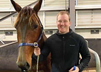 Classy trotter renews Purdon connection