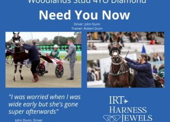 Need You Now takes out 4yo Diamond