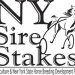 NYSS season kicks off Monday at Yonkers