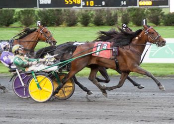 Next Level Stuff looks to continue roll at Big M