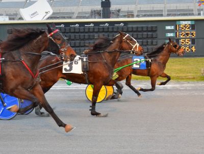 Northern Express (#3 in center) was placed first as Scirocco Rob (#2) on the rail was off-stride crossing the finish wire.