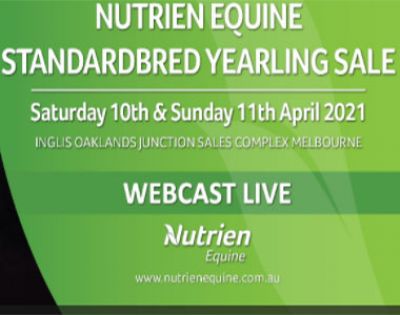 Nutrien Equine Yearling Sale - Watch Live
